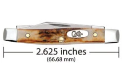 Case Small Pen Knife Stag 5 Case Small Pen Knife Stag -Knife Online Shop 00088 3 76734.1654889202