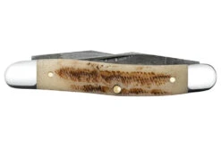 Case Muskrat - Vintage Bone - Damascus 7 Case Muskrat - Vintage Bone - Damascus -Knife Online Shop 77463 4 52892.1676300289