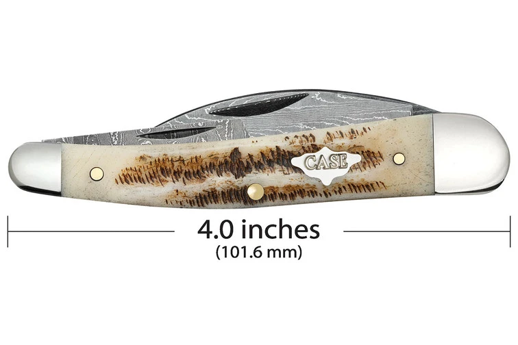 Case Seahorse Whittler - Vintage Bone - Damascus 3 Case Seahorse Whittler - Vintage Bone - Damascus - Image 3