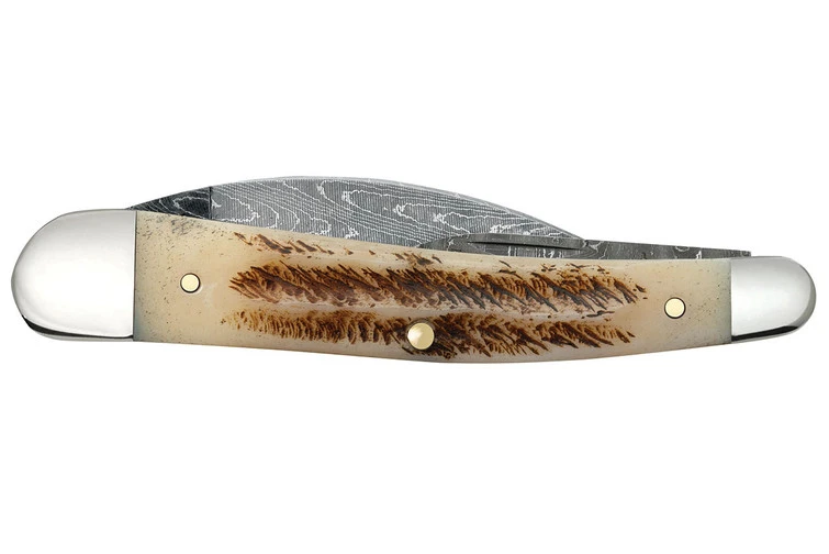 Case Seahorse Whittler - Vintage Bone - Damascus 4 Case Seahorse Whittler - Vintage Bone - Damascus - Image 4