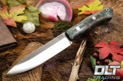 Aurora II 3V Dark Green Maple Burl