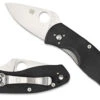 Spyderco Ambitious
