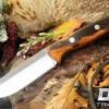 EXT-2 LT 3V Desert Ironwood Burl - Red Liners #05