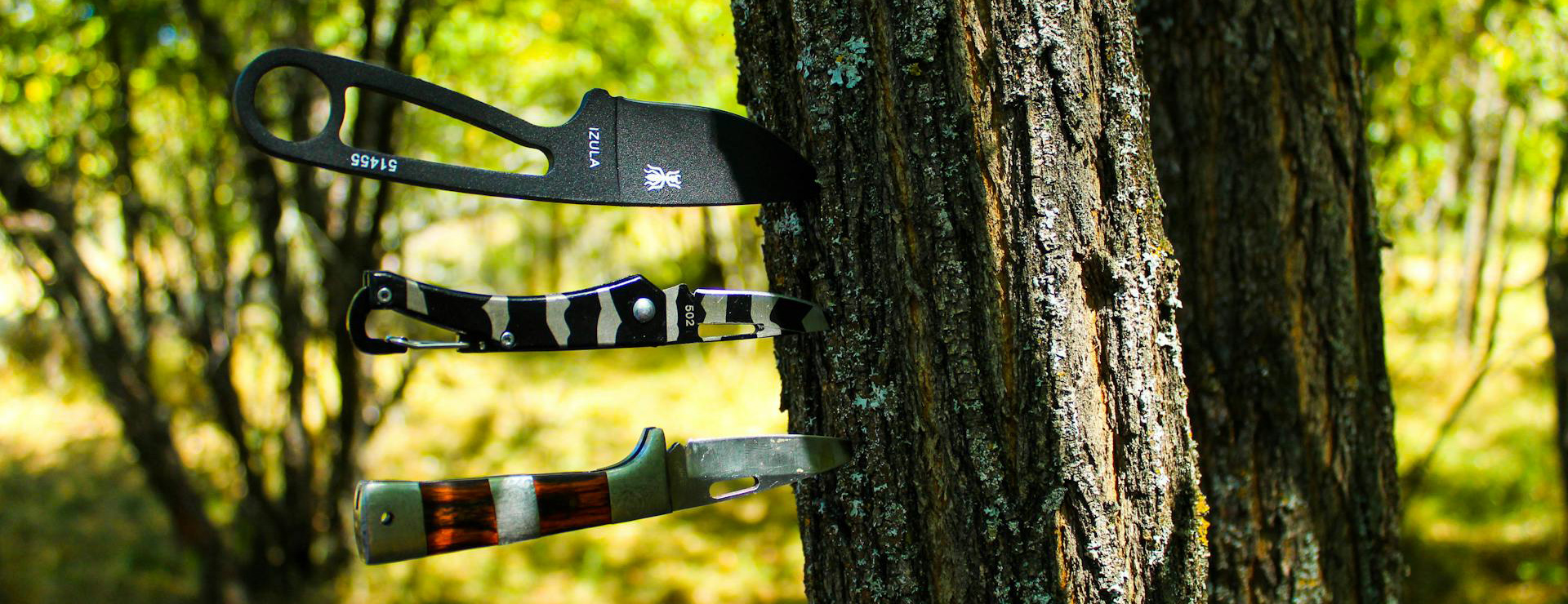 Knife Online Shop -Knife Online Shop pexels aleksandar djordjevic 109766345 9860774